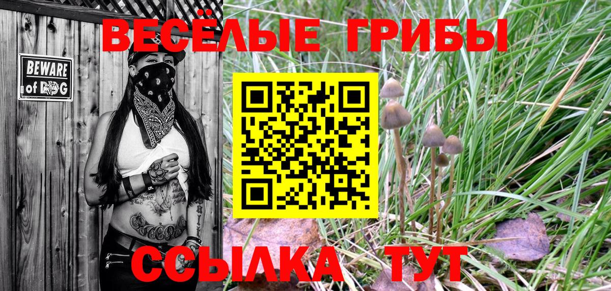 Галлюциногенные грибы Cubensis  Псилоцибиновые грибы Cubensis  Владимир  Вход с VPN 