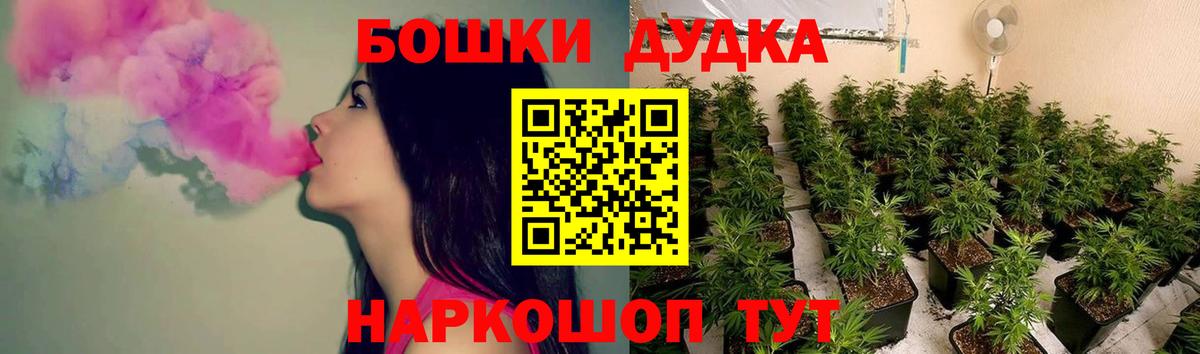 Бошки Шишки план Владимир